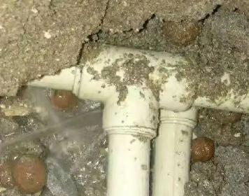 阳东测漏水多少钱