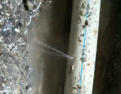 阳东测漏水哪家好